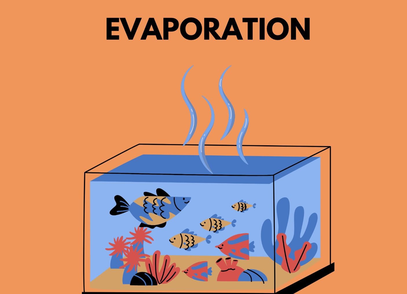 Evaporation Fish Tank