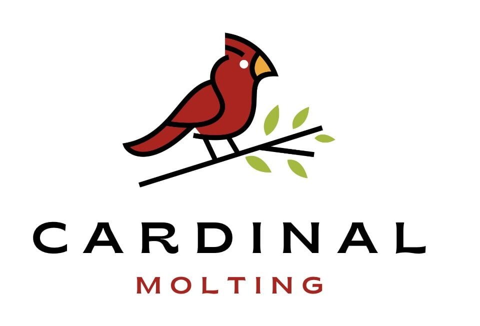 cardinals molting