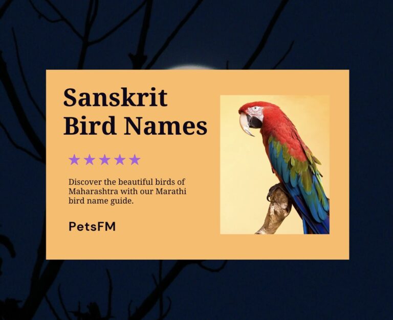 100 Bird Names In Sanskrit With Translation in English 100 Bird Names In Sanskrit With Translation in English