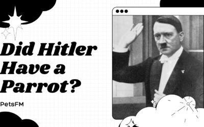 Is It True That Hitler Had a Parrot? [Know The Truth Now!]