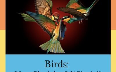 Are Birds Warm-Blooded or Cold-Blooded? [2024 Guide]