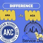 AKC vs AKA Difference: Which One Should You Choose?
