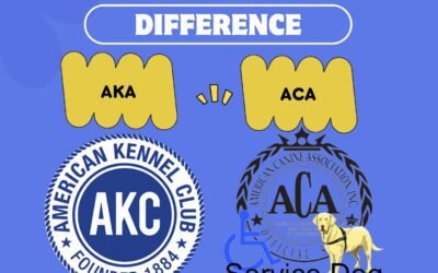 AKC vs ACA Difference: Which One To Choose? [2024 Guide]