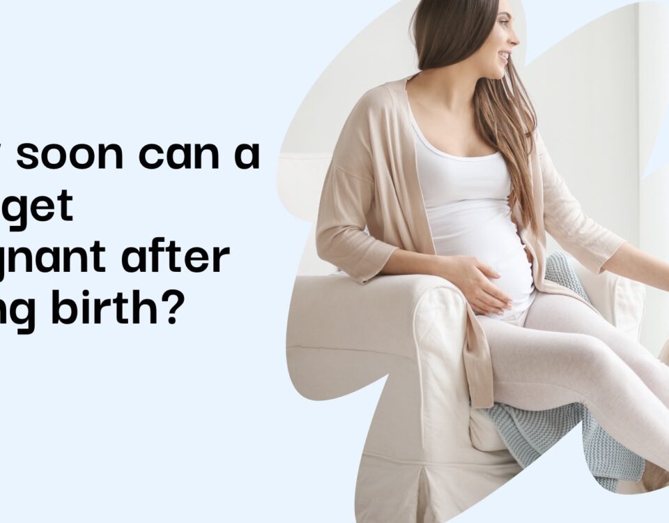 How soon can a dog get pregnant after giving birth?