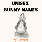 Unisex Bunny names (nature, character, mythology inspired, etc.)