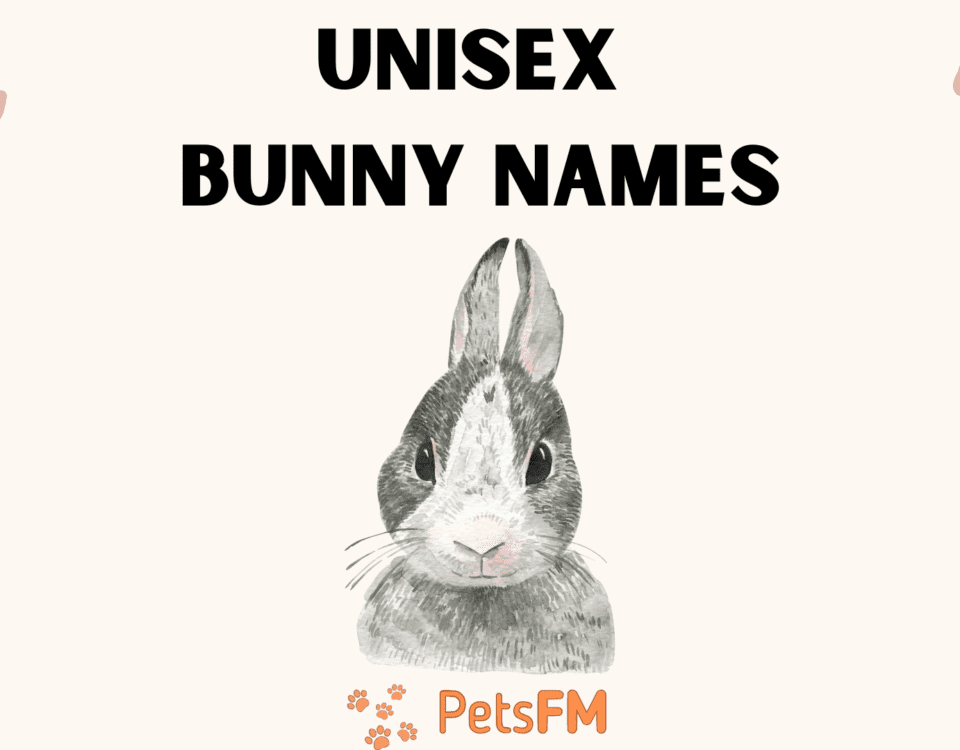 Unisex Bunny names (nature, character, mythology inspired, etc.)
