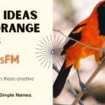 Name ideas for orange birds