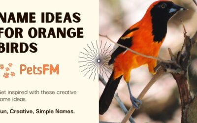 90+ Perfect Name Ideas for Orange Birds [2024 Updated]
